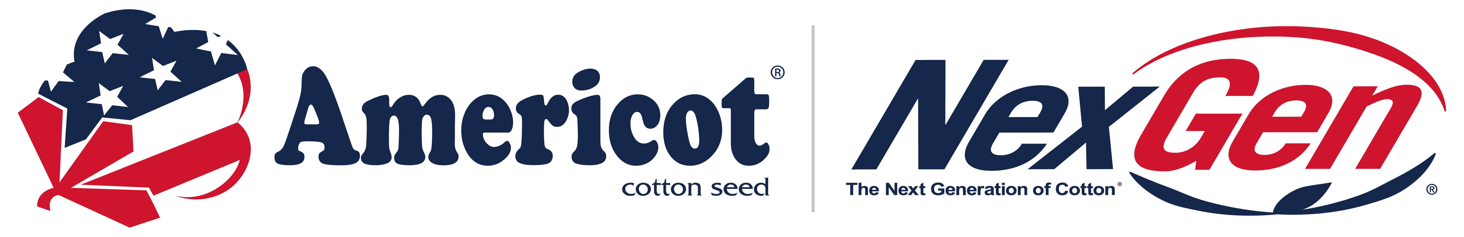 Americot logo