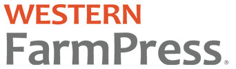 WFP for Bundle
